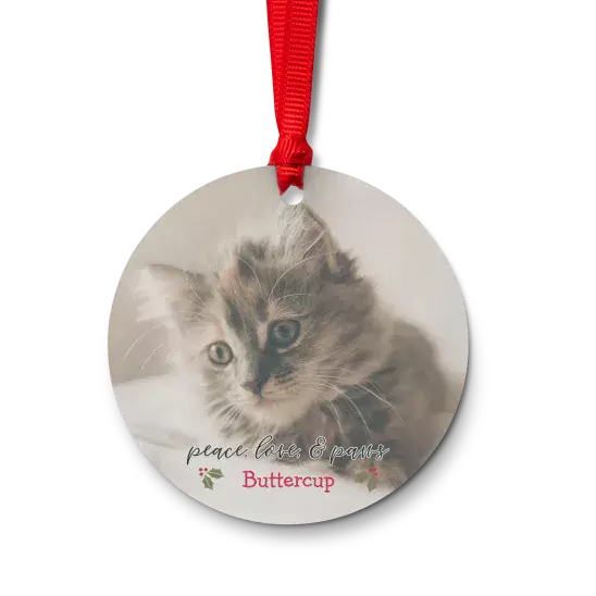 Acrylic round ornament