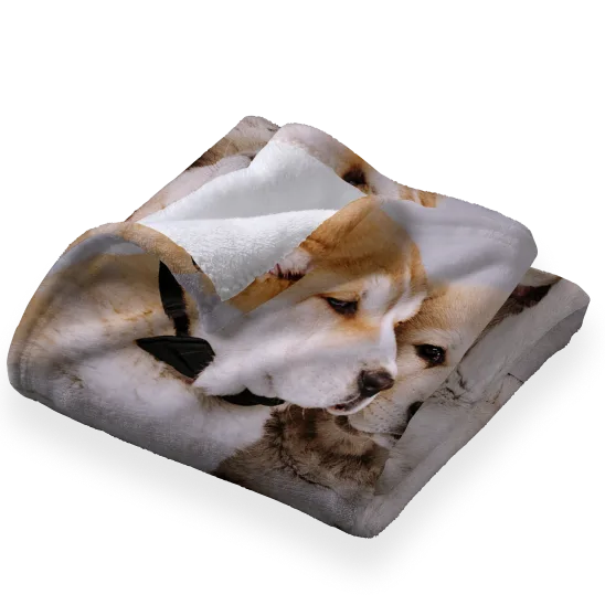Plush fleece blanket